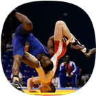 Wrestling Moves Guide icon