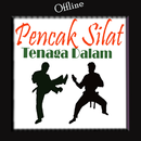 Bela Diri Tenaga Dalam APK