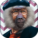 Animal Face Morph Photo Editor APK