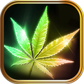 Rasta Farben Emoji Tastatur
