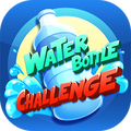 Bottle Flip 2