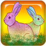 Find A Rabbit.It's a good game