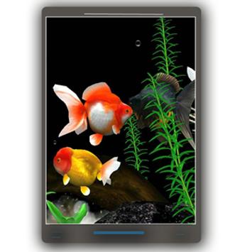 Fish Live Wallpaper 3d Aquarium Background Hd 2018 For Android