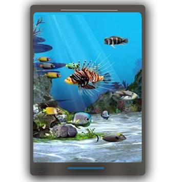 Fish Live Wallpaper 3d Aquarium Background Hd 2018 For Android