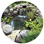 Fish Pond Design Ideas