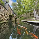 Fish Pond Ideas  2017 ikon