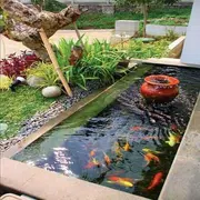 Fish Pond Design Ideas