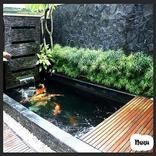 ideias de design de lagoa de peixe