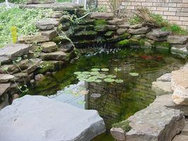 Fish Pond Designs capture d'écran 1