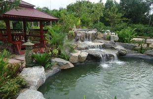 Fish Pond Designs ảnh chụp màn hình 2