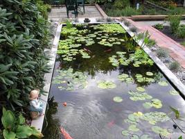 Fish Pond Designs 截图 3