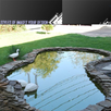 Fish pond Design Ideas APK