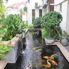 Fish Pond Design icon