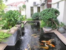 Fish Pond Design poster