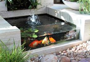 Fish Pond Design screenshot 3