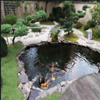 Fish Pond 圖標