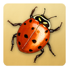 APK Animal Name Game