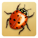 Animal Name Game APK
