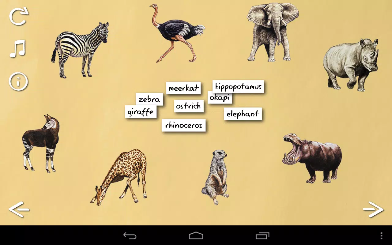Animal Name Game APK for Android Download Animal Name Game APK for Android Download