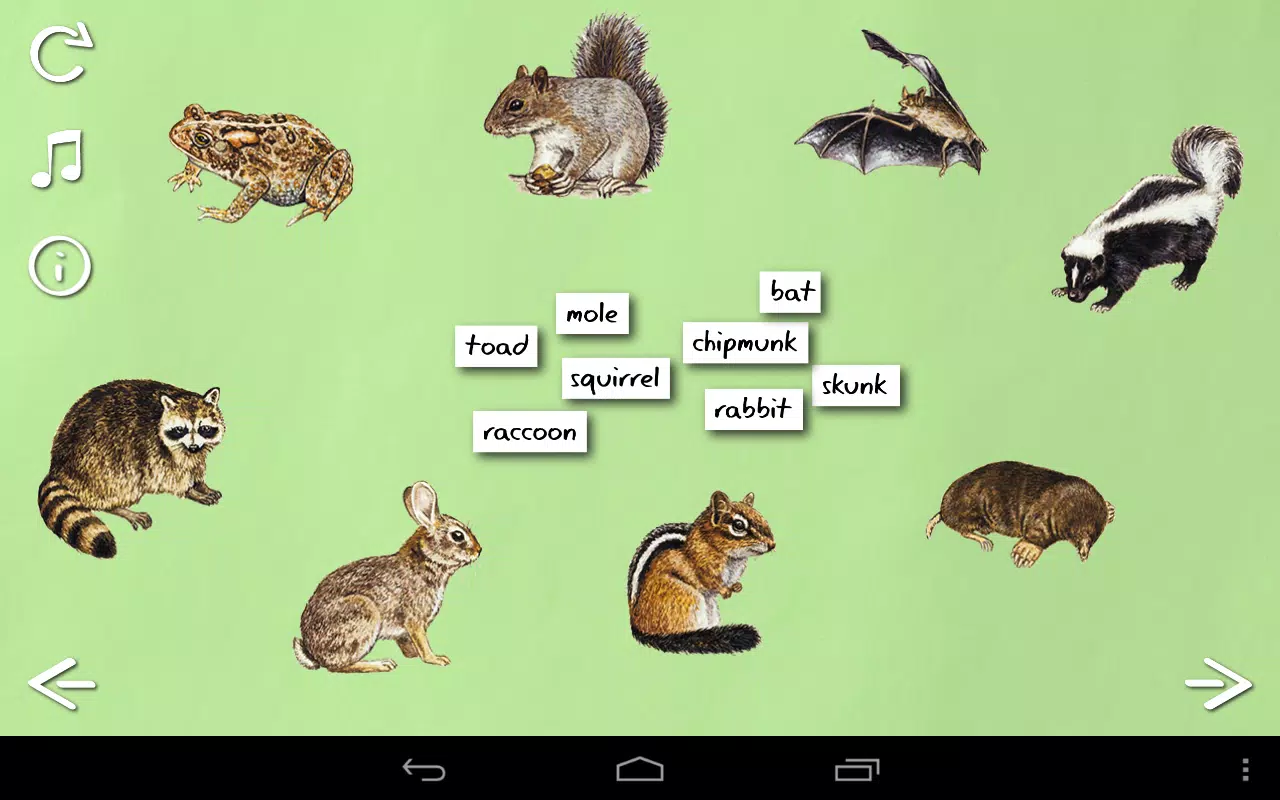 Animal Name Game APK for Android Download Animal Name Game APK for Android Download