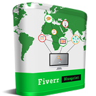 Fiverr Success Blueprint icône