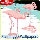 ikon Wallpaper Flamingo