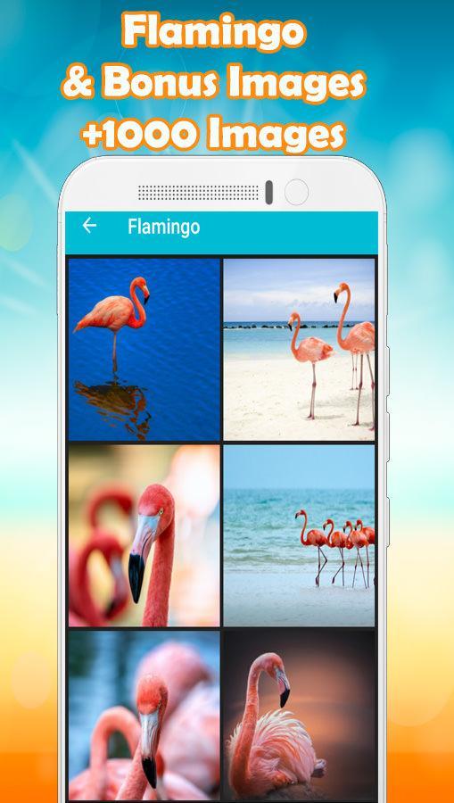Flamingo Wallpaper For Android Apk Download Flamingo Wallpaper For Android Apk Download