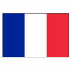 Flag France-icoon