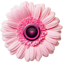 Flower Photo Frames APK