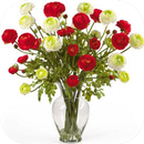 beautiful flower arrangement APK