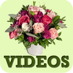 Flower Arrangement Ideas VIDEO