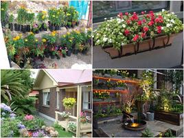 Flower Garden Planter Ideas पोस्टर