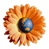 APK Melbourne International Flower & Garden Show
