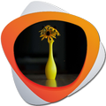 Flower Vase Design