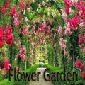 Flower garden
