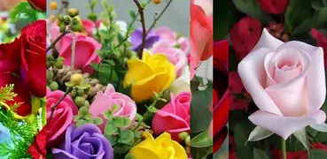Flowers Love Images Gif