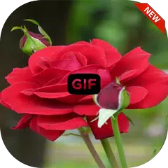 Blumen Liebe Bilder Gif APK Herunterladen