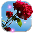 Flowers Live Wallpaper Magic Touch