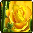 خلفيات زهور APK