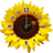 Flower Clock Widget APK