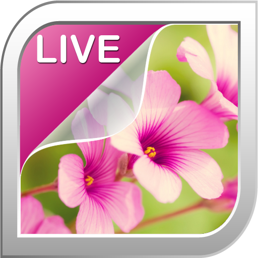 Flowers Live Wallpaper