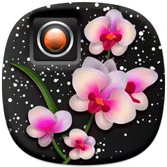 Flowers Photo Frames APK download