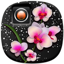 Flores Molduras Fotos APK