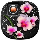 Fleurs Cadres Photo icône