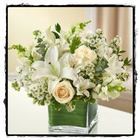 Icona Flower Vase Design