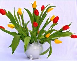 Poster Flower Vase Design