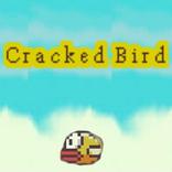 Cracked Bird
