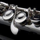 Easy Flute - Flute Tuner