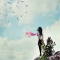 Fly Away