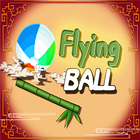 Flying Ball biểu tượng